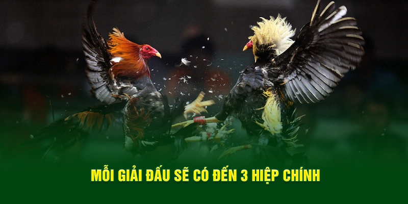 Mỗi giải đấu sẽ có đến 3 hiệp chính